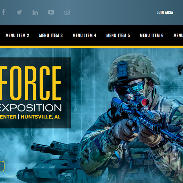 Website design and development, Landeuro Germany website, AUSA